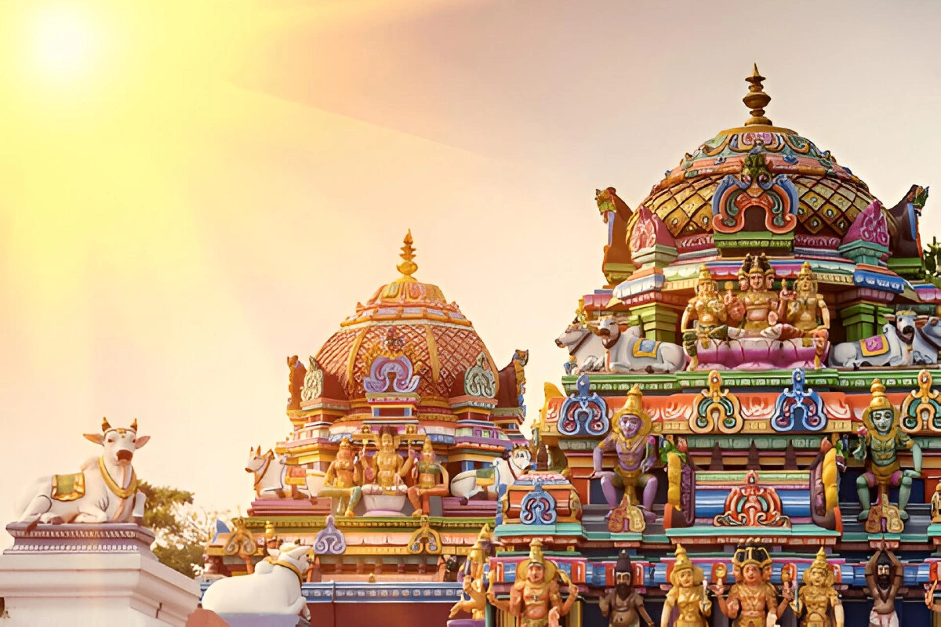 Top 10 Must-Experience Eaze Tours Packages in India (And Why European Travelers Love Them)