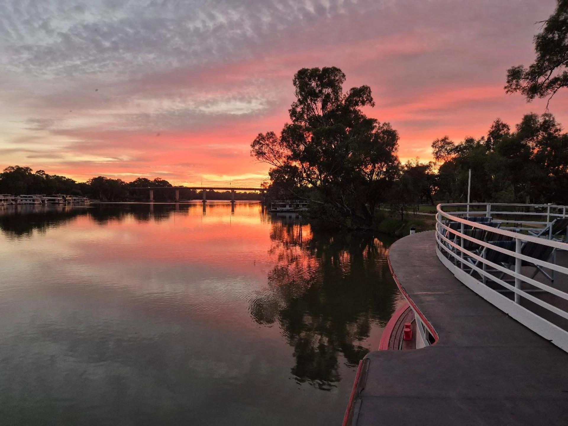 Embrace the Romance of the Murray: Discover the Magic of Paddle Steamer Melbourne