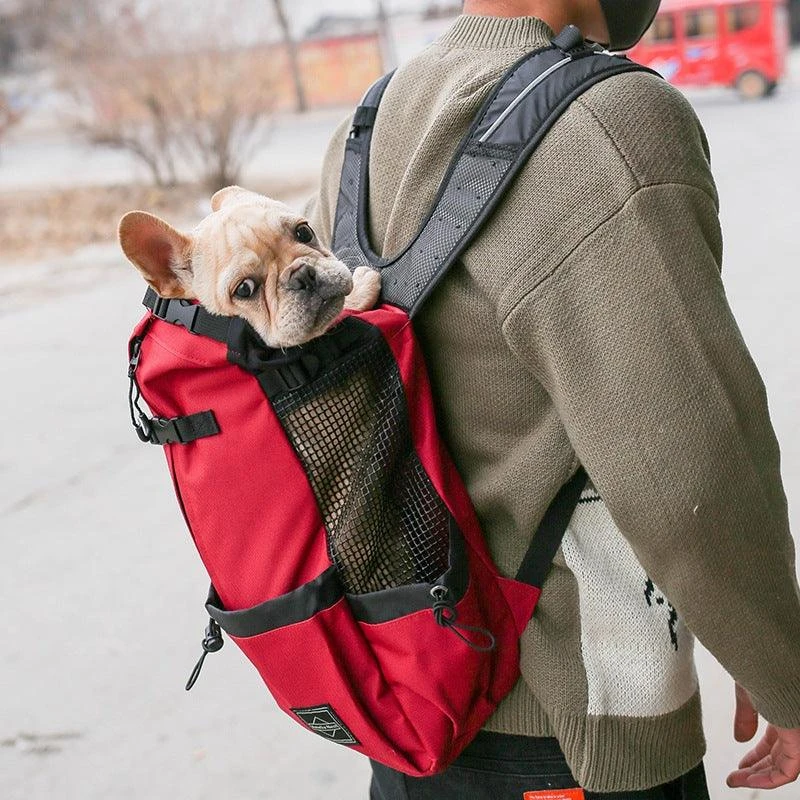 Why I Switched to a Portable Pet Carrier for Mountain Trails