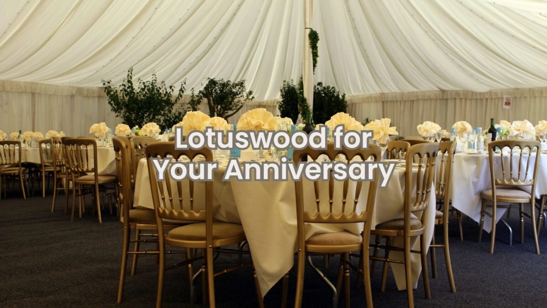 Intentional and Intimate: Anniversary Celebrations in Middletown