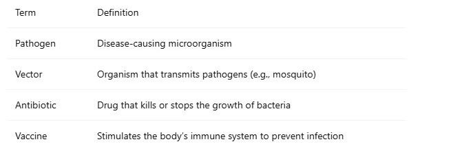 Why Do We Fall Ill Class 9 – NCERT-Based Notes & FAQs