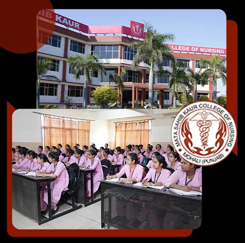 Nursing College and Beyond: Exploring Your Healthcare Career Options