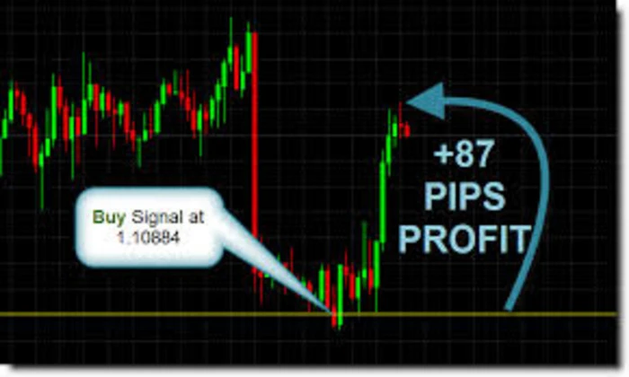 Dux Forex Signals VIP Review: A Real Trader’s Take on Accuracy & Profit Potential