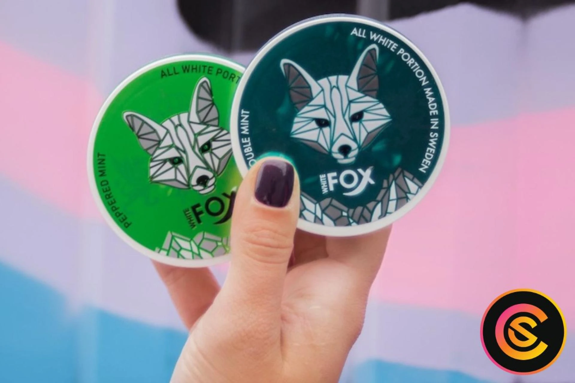 💥 25% OFF SNUSCORE Discount | Save More Today!