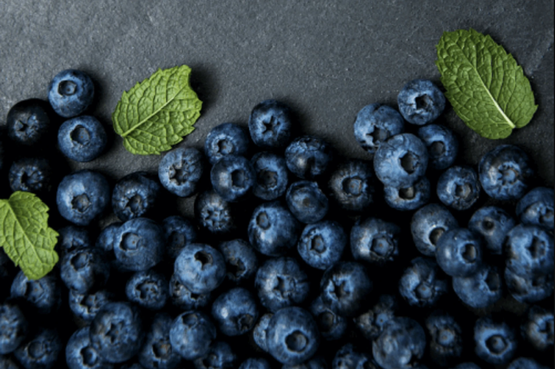  Cultivating the Future: The Rise of Blueberry Farming in India
