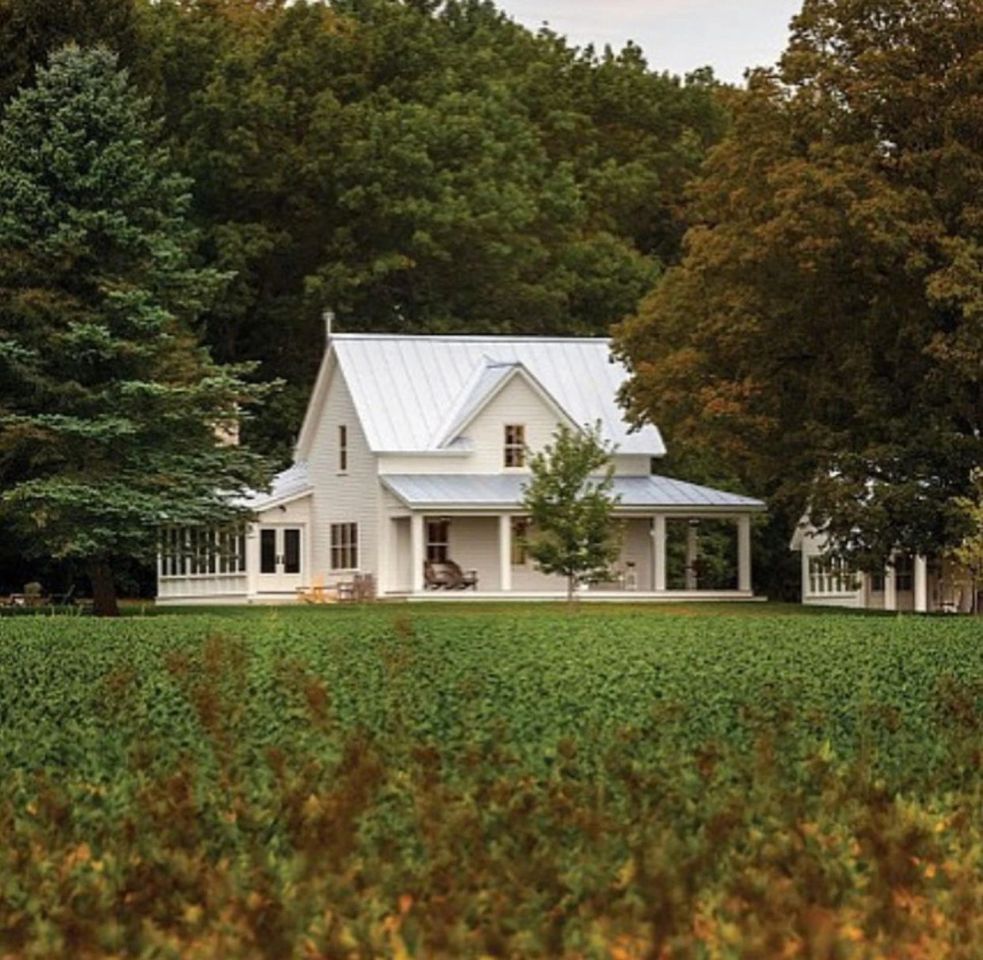 Experience Nature at Its Finest with The Ananta Farms