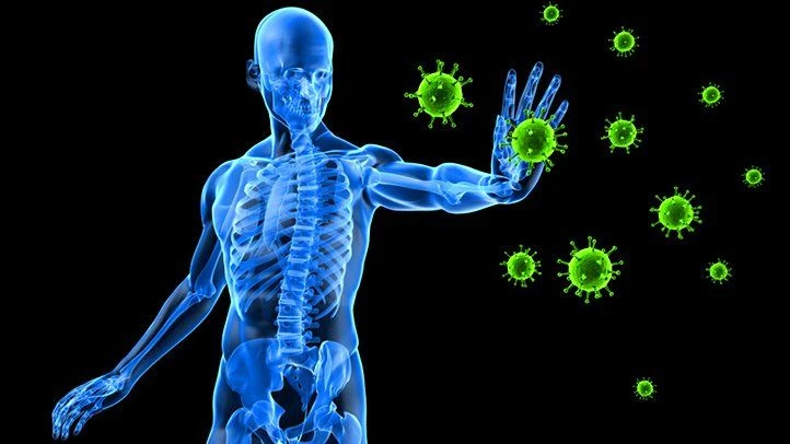 Chiropractic Care and Immunity: A Natural Path to Better Health