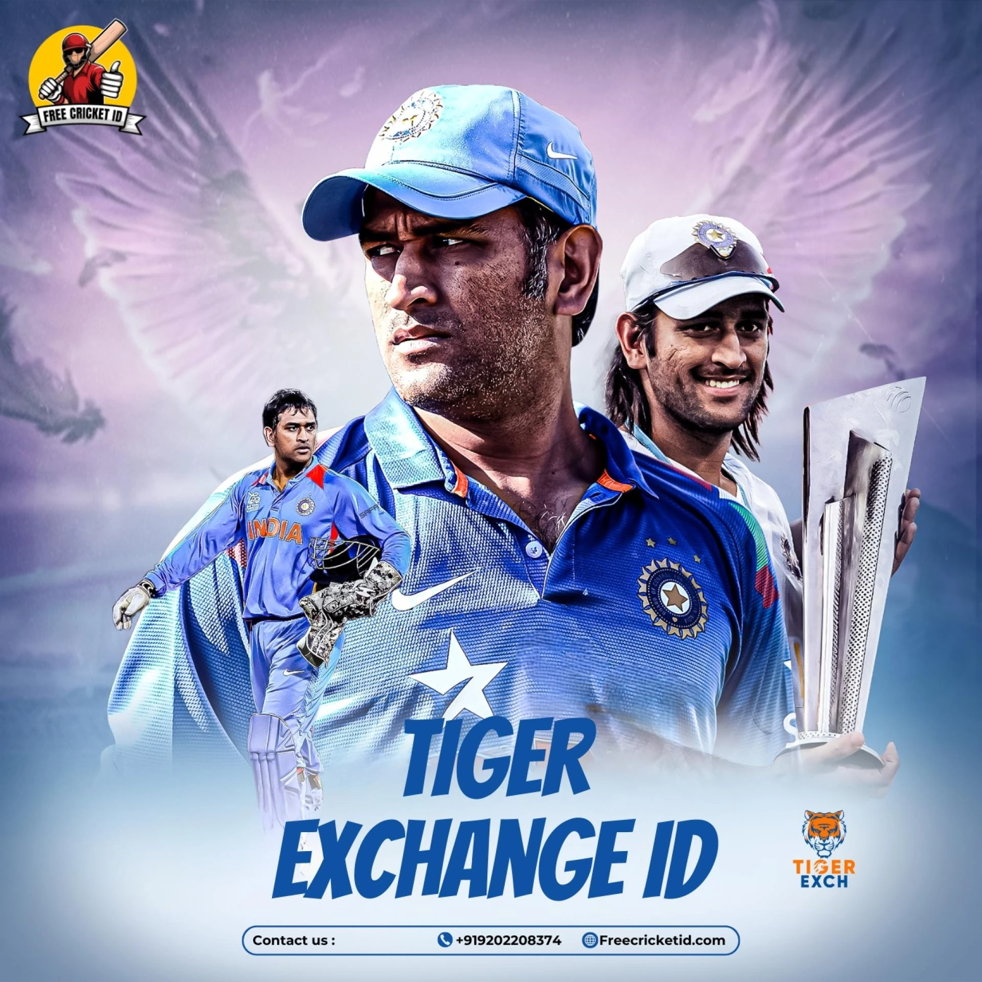 What Are the Benefits of Having a Tiger Exchange ID