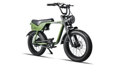 Bee Cool Mountain E-Bikes: The Tool for Conquering the Wilderness