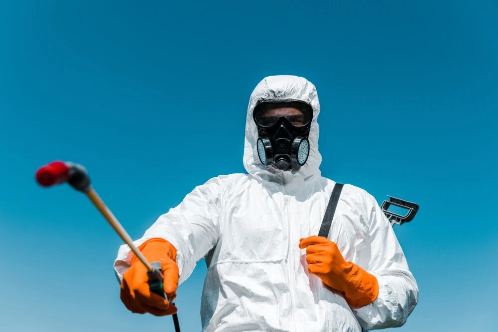Pest Control in Spring, Texas: What Works & What Doesn’t