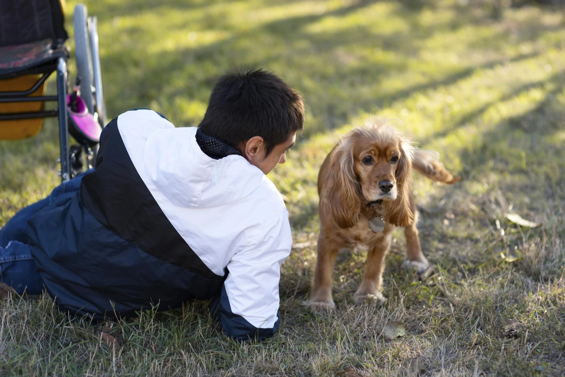 Train Your Dog for Good Behaviour through Obedience Training in Columbia, MO