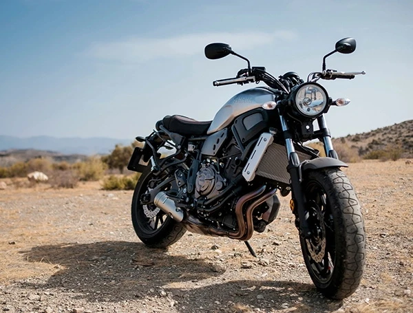 Pond Drainage Equipment