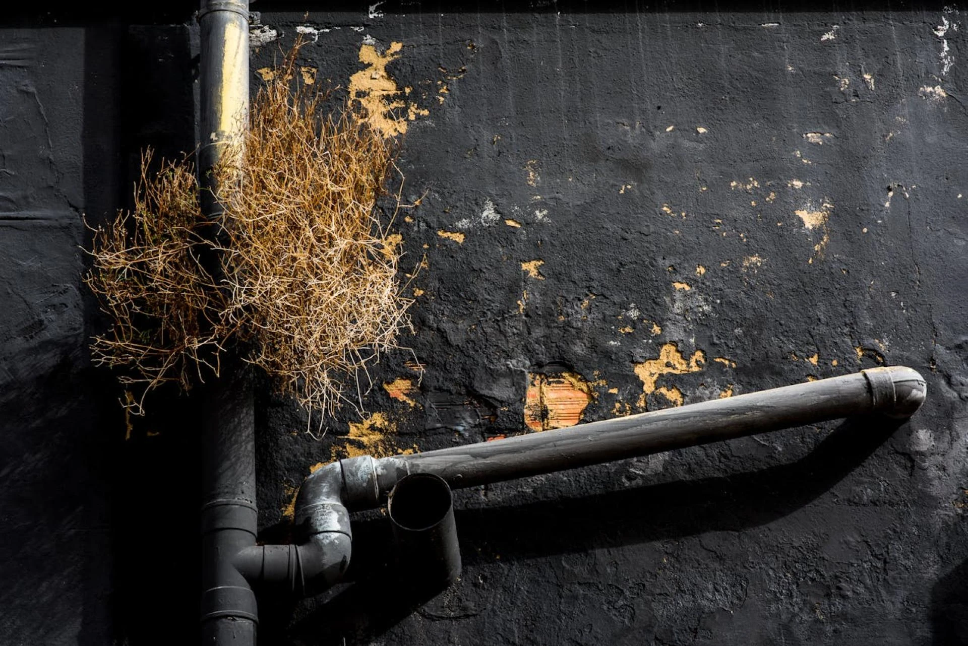 Is a Plumbing Camera Inspection Worth It? Pros, Cons, and Cost Factors