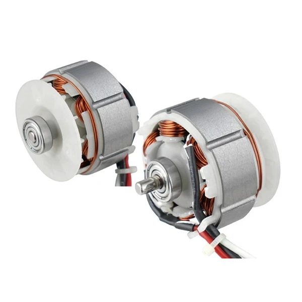 Brushless DC Gear Motor