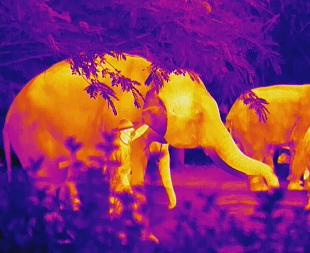 Thermal Camera for Home & Outdoor