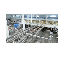 Sorting Conveyor