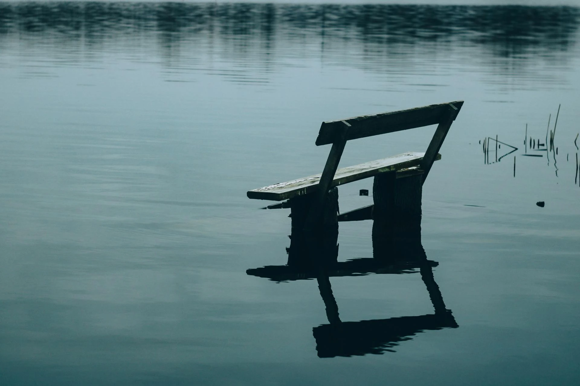 Exploring the Benefits of Counselling and Psychotherapy in Fulham SW6