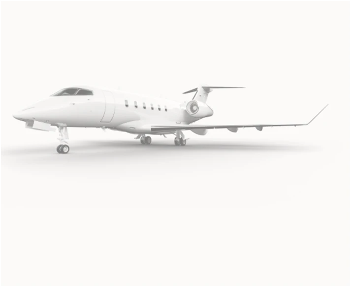 Planning a Family Trip? Consider the Perks of Private Flying