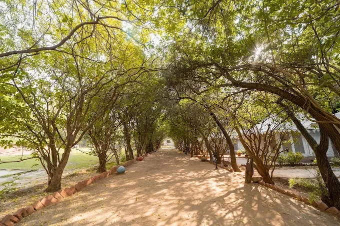 Exploring Ranthambore in the Monsoon - Safari Zones & Essential Travel Tips