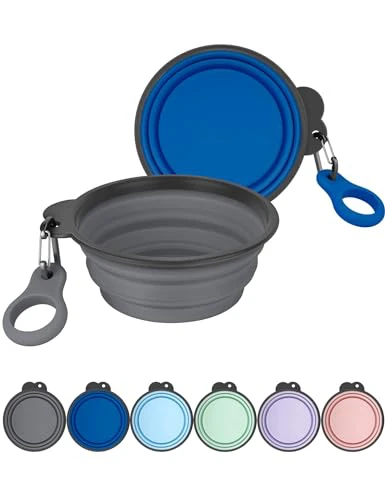 The Smartest Pet Tools You’ve Never Heard Of (But Need)