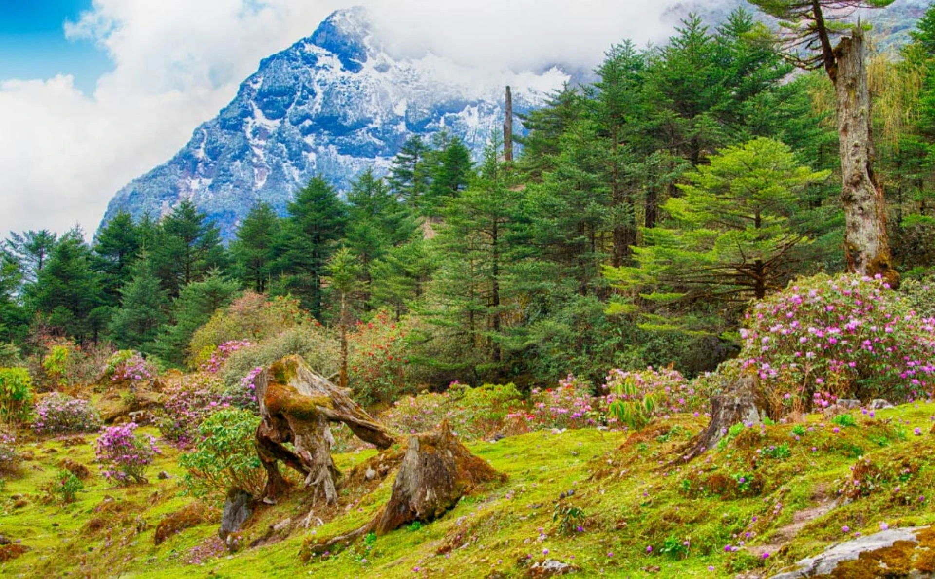 Sikkim Package Tour from Bagdogra