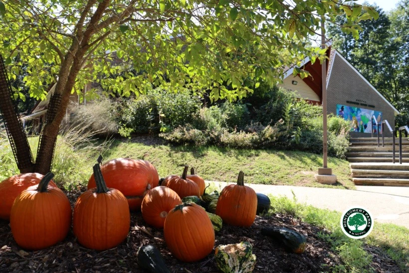 Find Your Dream House for Sale Near Rockville, Maryland with Judy Martin Sells Homes