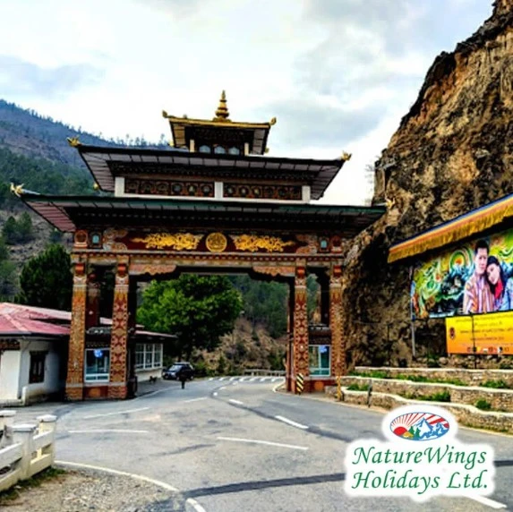 Book Your Bhutan Package Tour from Delhi with NatureWings – Peace Awaits