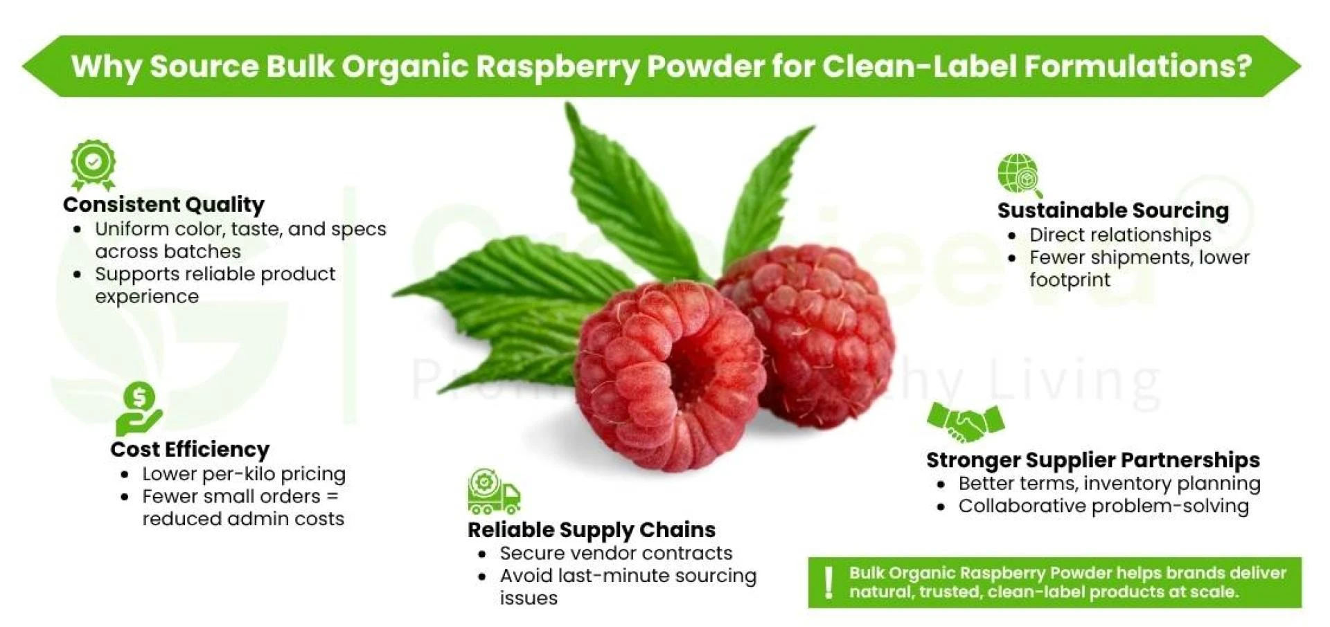 Why Bulk Organic Raspberry Powder Is Essential for Clean-Label Formulations