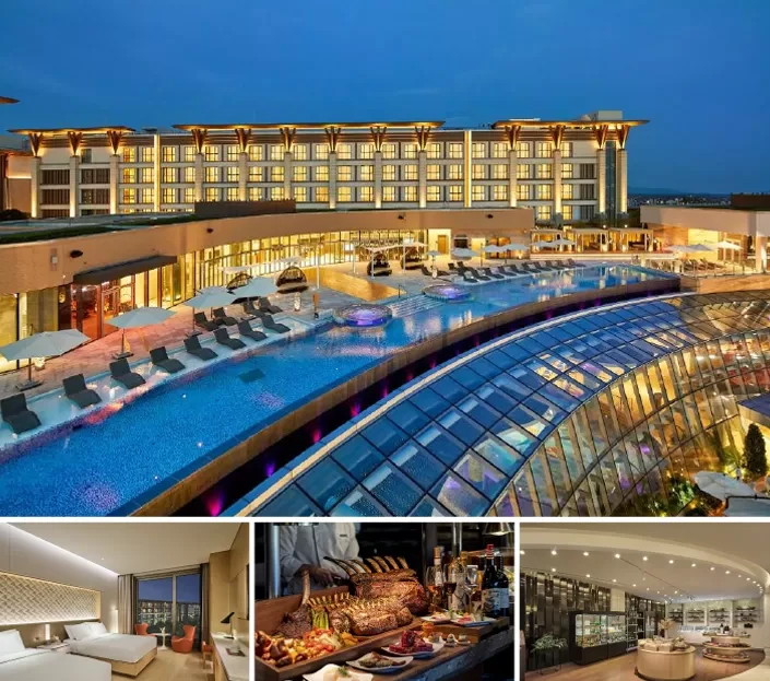 stem cell regeneration therapy