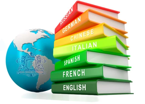 Are There Any Government or Private Initiatives Supporting Foreign Language Education in Delhi?