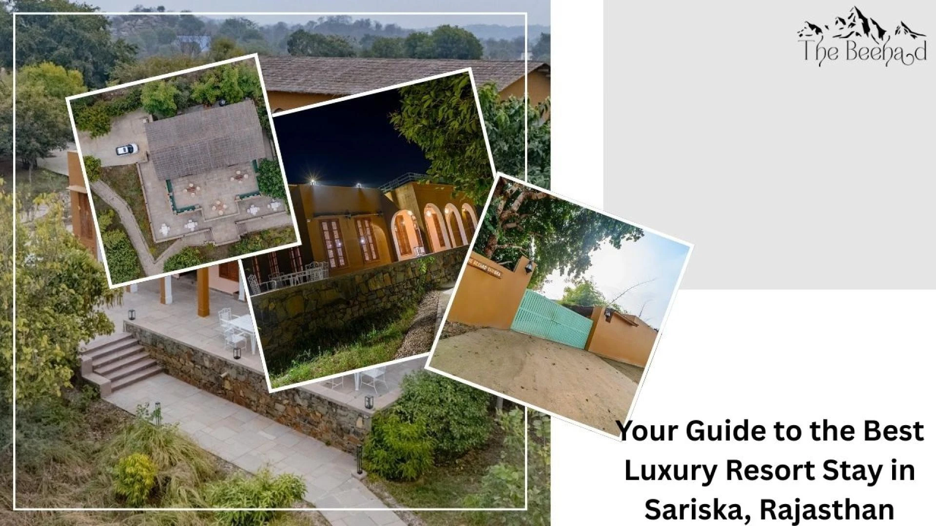 Your Guide to the Best Luxury Resort Stay in Sariska, Rajasthan