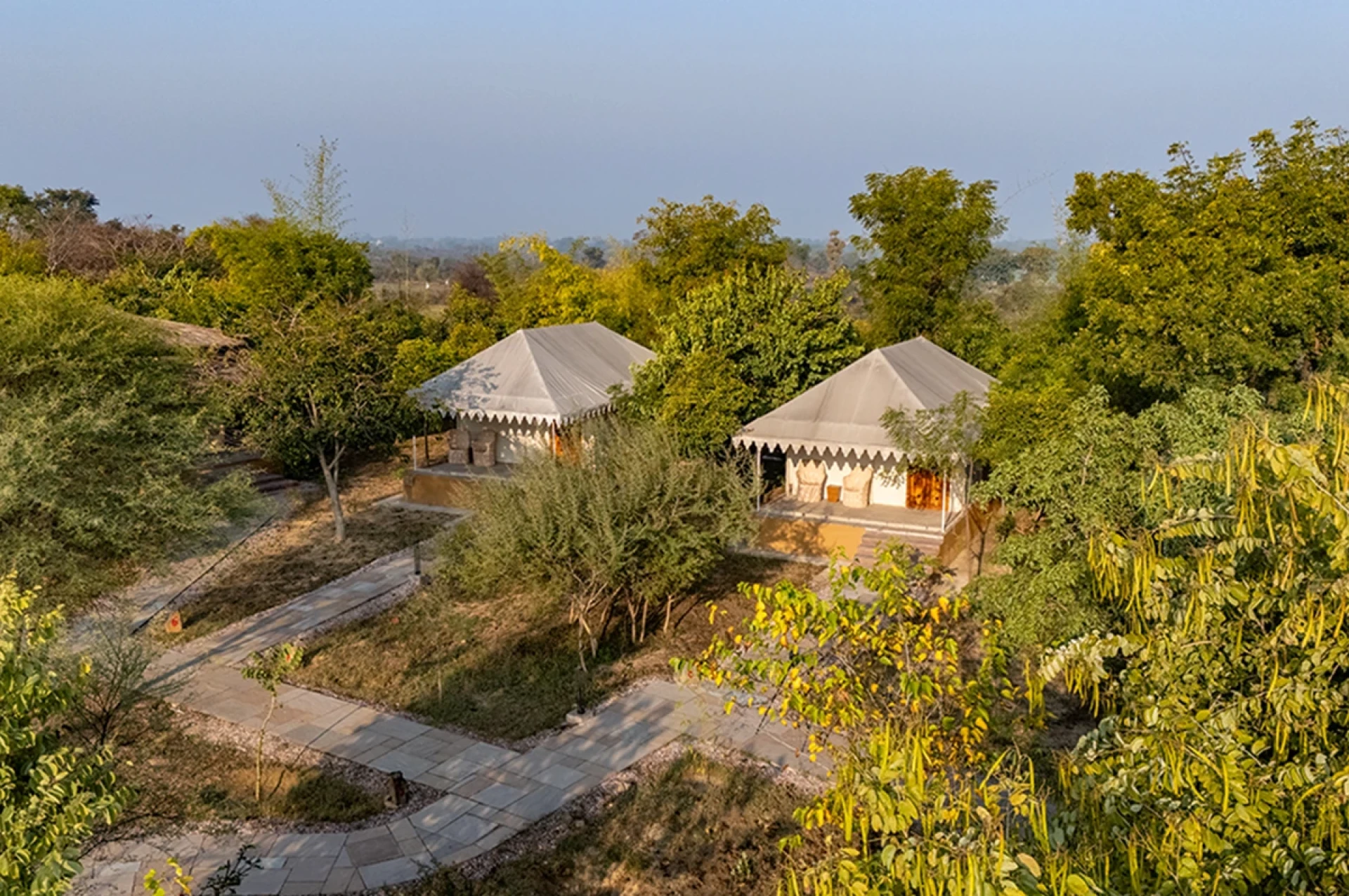 Your Guide to the Best Luxury Resort Stay in Sariska, Rajasthan