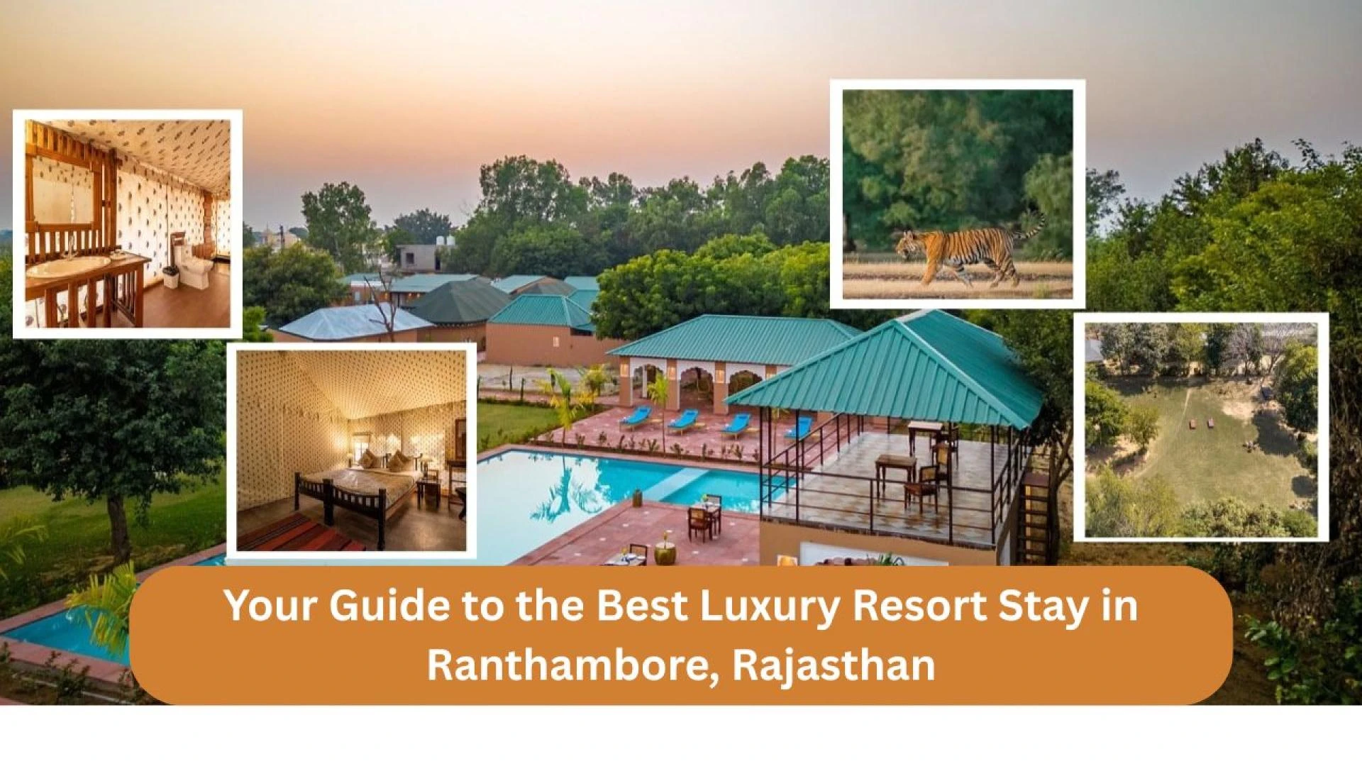 Your Guide to the Best Luxury Resort Stay in Ranthambore, Rajasthan