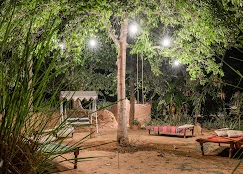 Your Guide to the Best Luxury Resort Stay in Ranthambore, Rajasthan