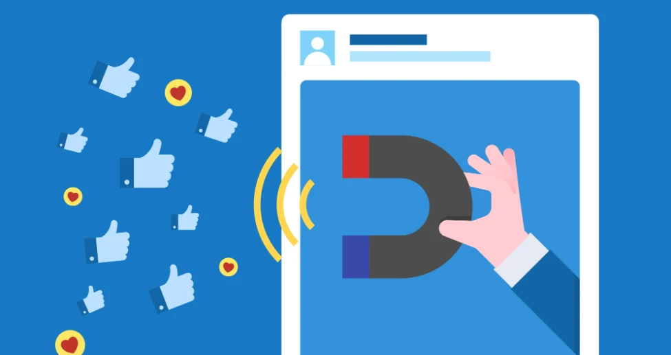 How Webzilla Leads the Way as a Digital Marketing Agency in New Zealand