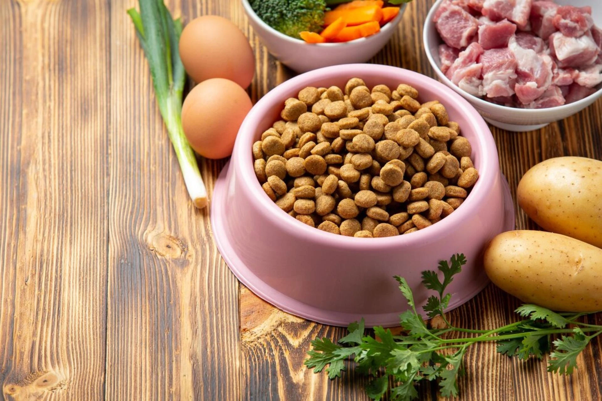 Top Signs Your Pet’s Diet Might Need a Change