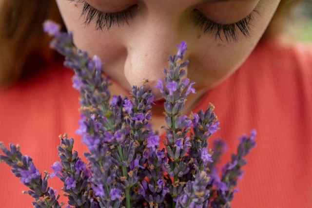 The Role of Eyelash Extensions in a Minimalist Beauty Routine