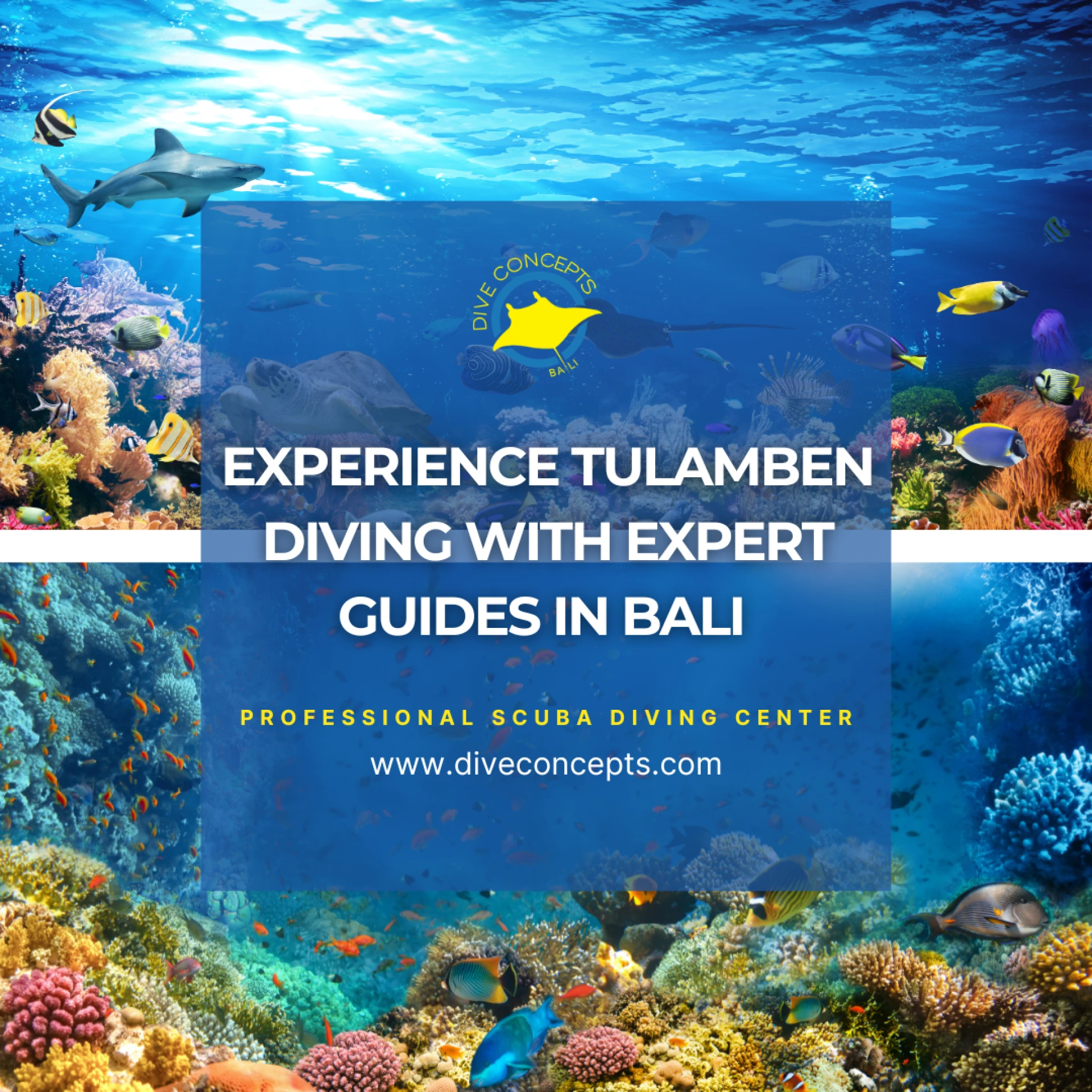 Experience Tulamben Diving with Expert Guides in Bali	