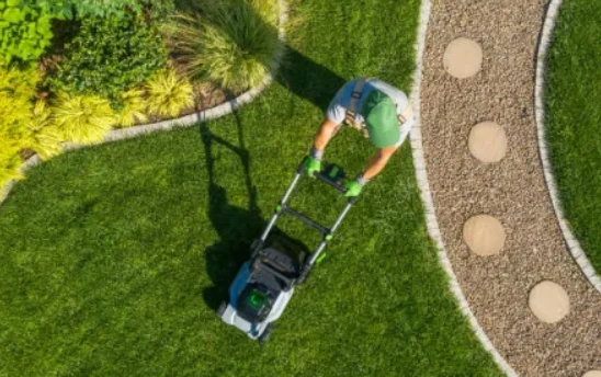 Professional Lawn Care Chichester: Transform Your Garden