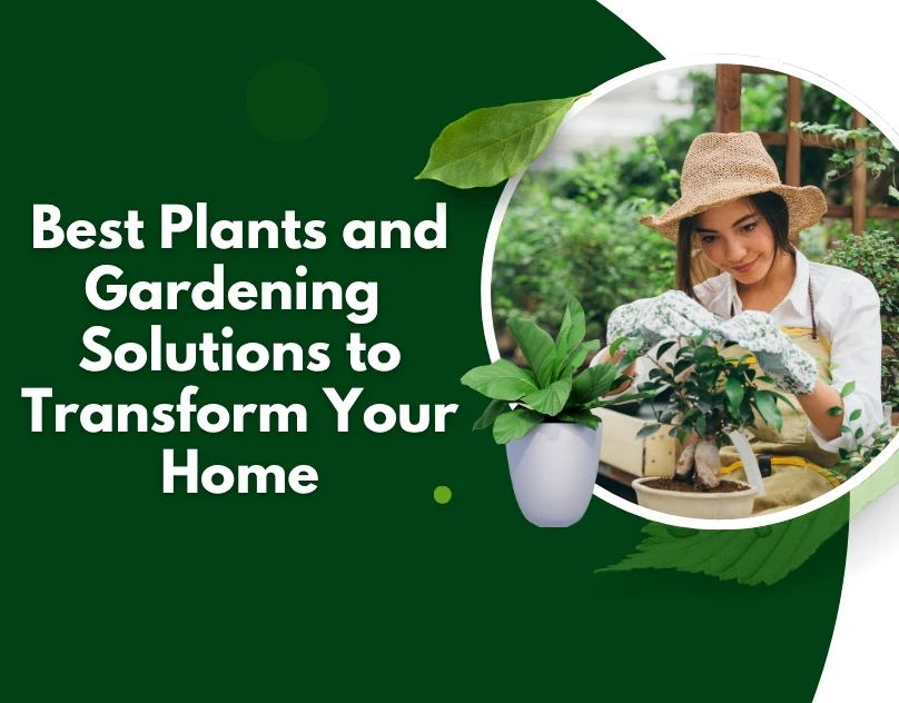 Best Plants and Gardening Solutions to Transform Your Home