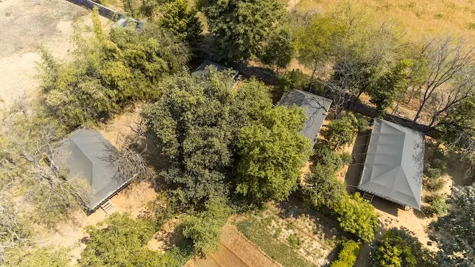 Best luxury tent, resort and premium hotel to experience in Ranthambore
