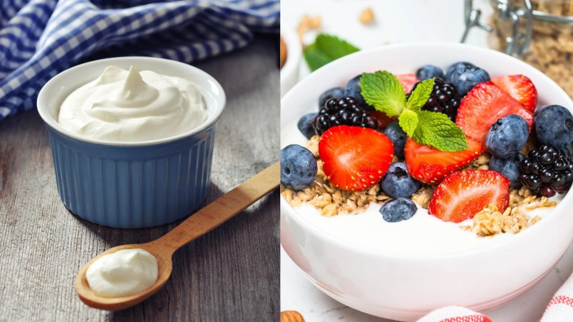Why Greek Yogurt Deserves a Spot in Your Daily Routine