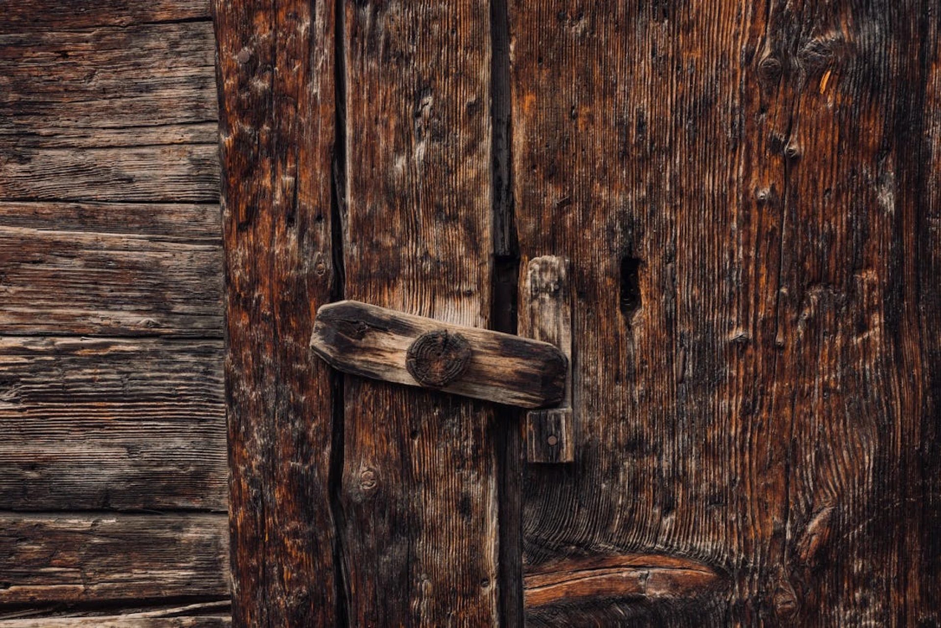 Don’t Let an Old Shed Bring Down Your Backyard—Remove It in One Day
