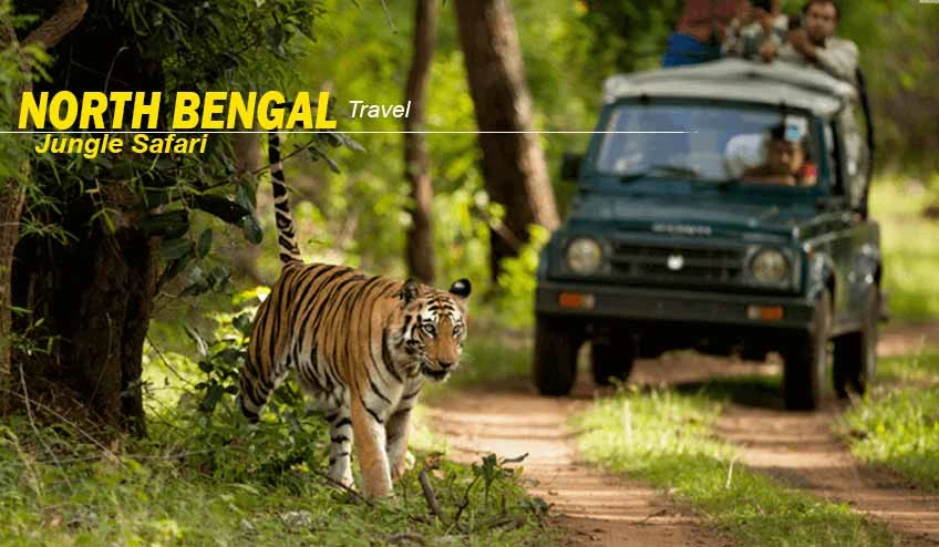 North Bengal Tour Packages: Explore the Best of Hills, Heritage & Forests