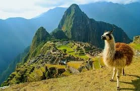 Explore Chile: Patagonia Tours, Santiago Adventures, and More