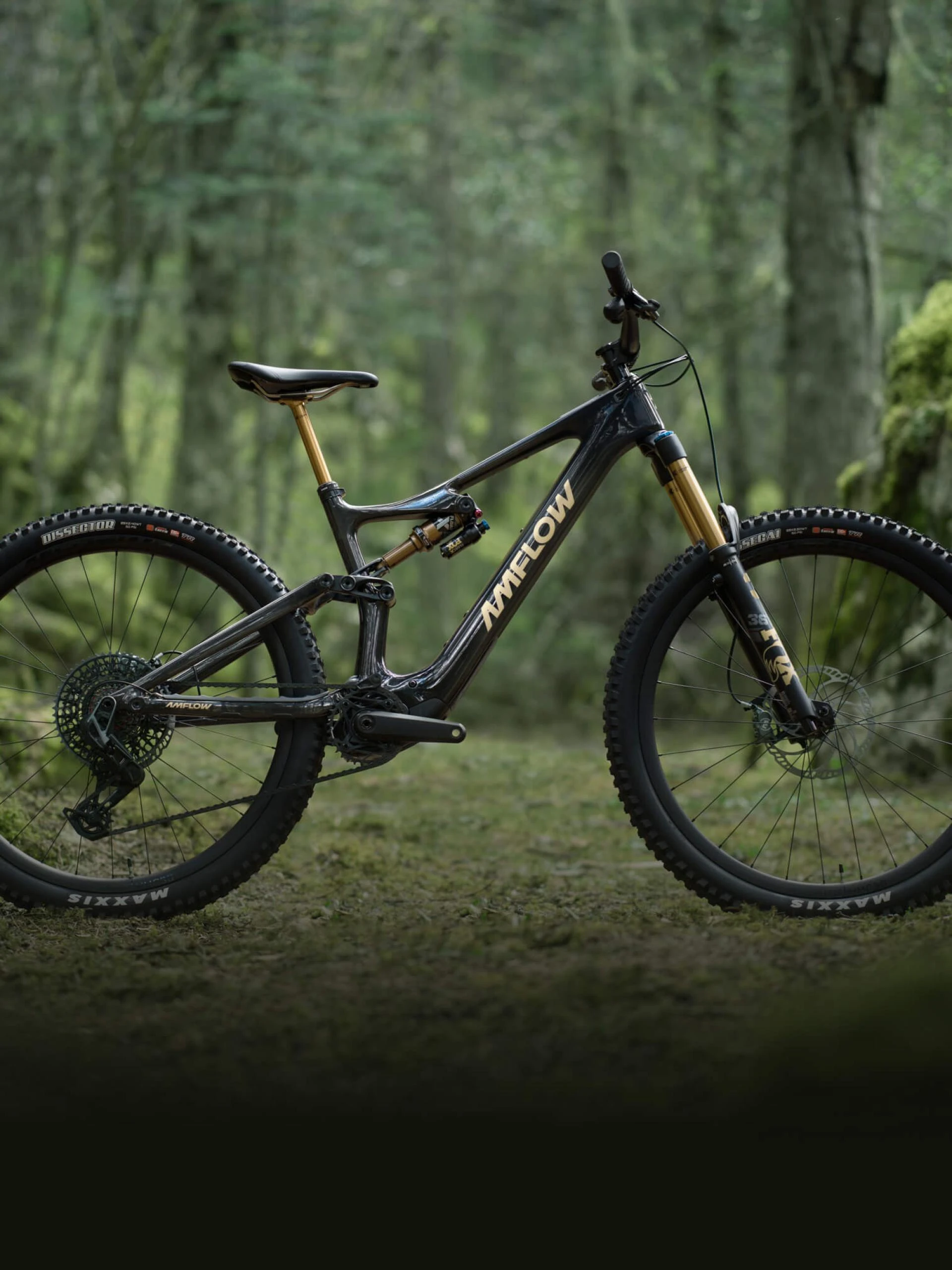 Your Guide to Electric Mountain Bikes: Power Up Your Trail Adventures