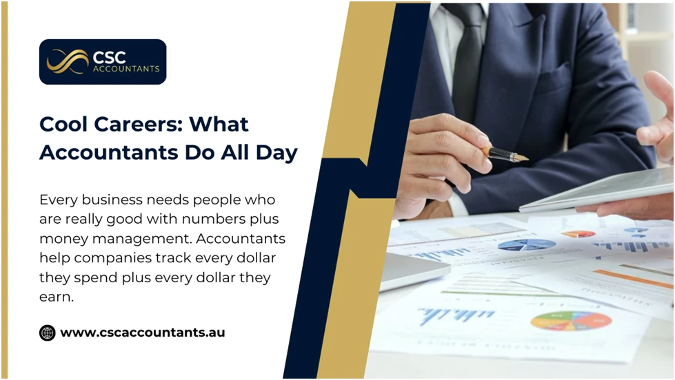Cool Careers: What Accountants Actually Do All Day