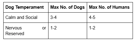 The Do's & Don'ts of Your Pet’s Perfect Birthday Bash