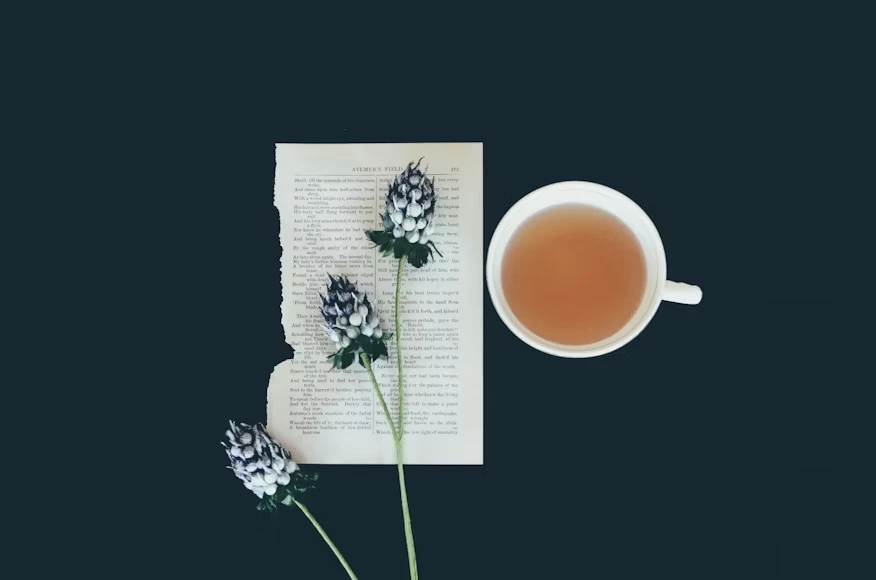 Pharmacological Profile and Health Benefits of Agaricus blazei Murill Tea Extracts