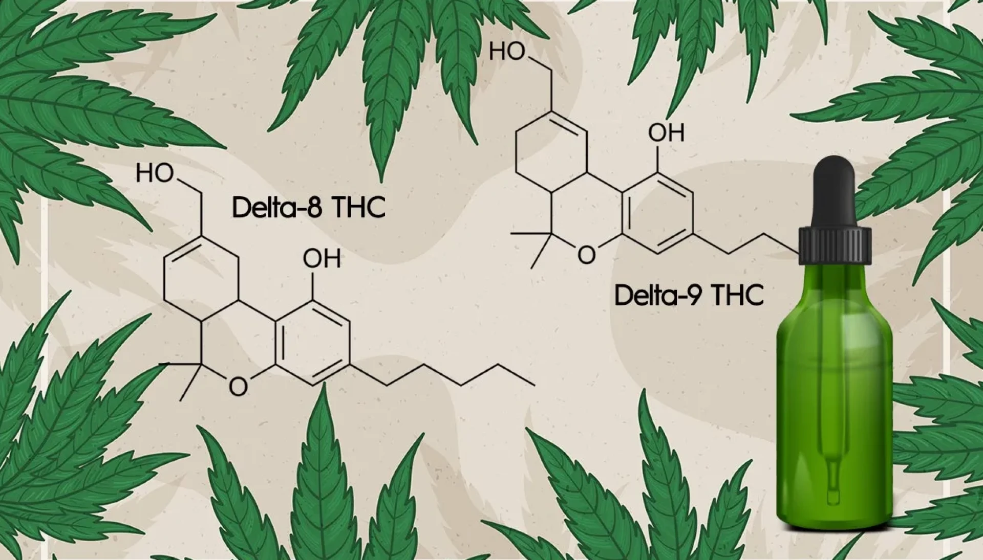 Sip Your Way to Bliss: Why THC Delta 9 Drinks Are the Future of Cannabis Enjoyment